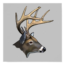 Desenho De Caro Buck De Forma Branca