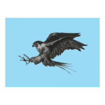 Desenho de Falcão-peregrino em Tela