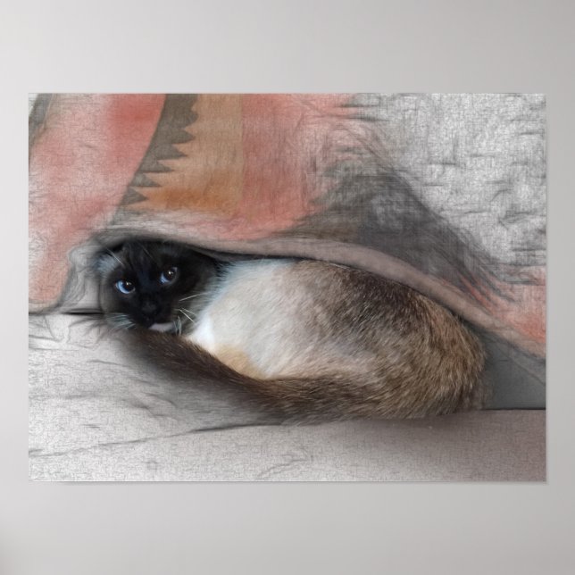 Poster Desenho de gatinho siamês fofo sob um cobertor (Frente)