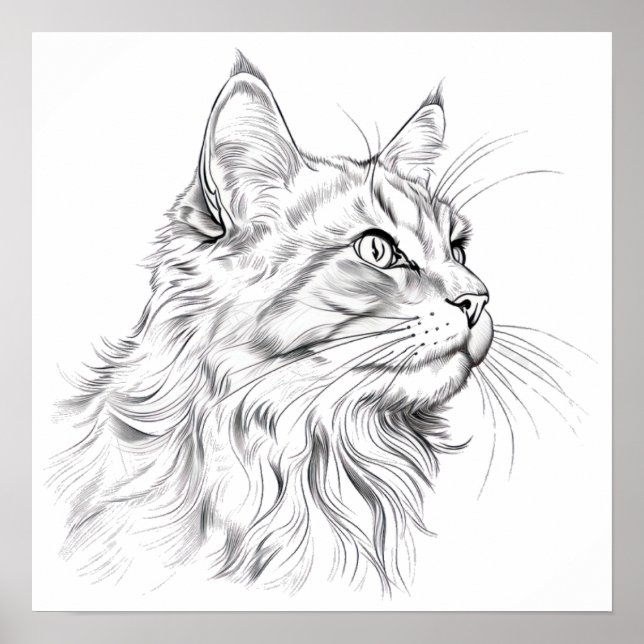 Poster Desenho de gato (Frente)