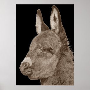 Pôster desenho de lápis lifelike do asno bonito