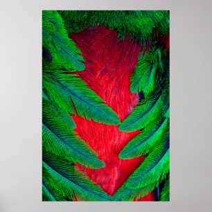 Pôster desenho de pena de Quetzal Resplandecente