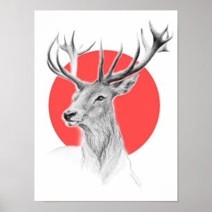 Pôster Desenho de retrato de veado Círculo vermelho Arte