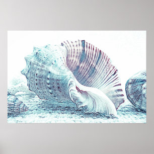 Poster Desenho de Seashell com desenho simples à mão   PO