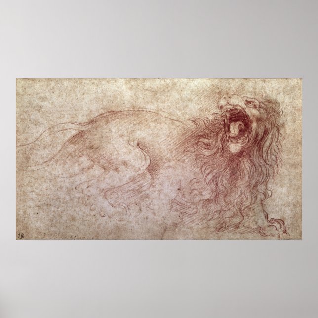 Pôster Desenho de um leão rugido (Frente)