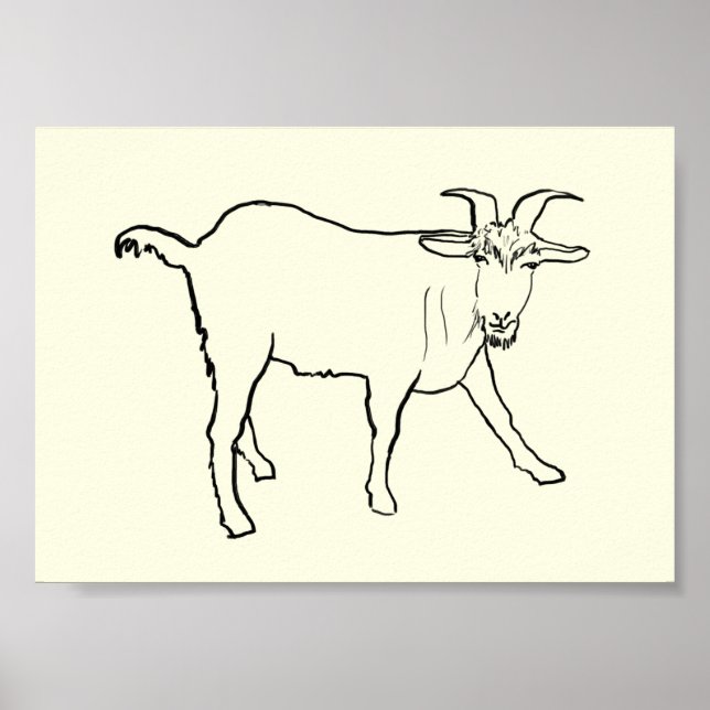 Pôster Desenho Divertido de Cabra Arte Excêntrica de Anim (Frente)