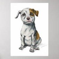 Desenho Do Desenho Da Pupppy Bull