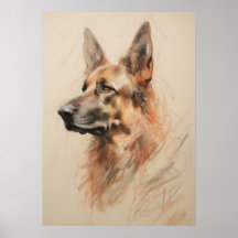 Desenho do german shepherd