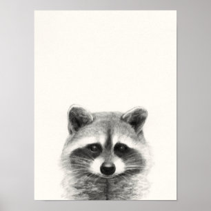 Poster Desenho do Lápis Raccoon