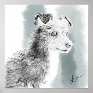 Poster Desenho do Mickey dog