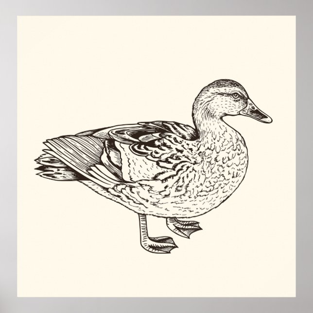Poster Desenho do Pato (Frente)
