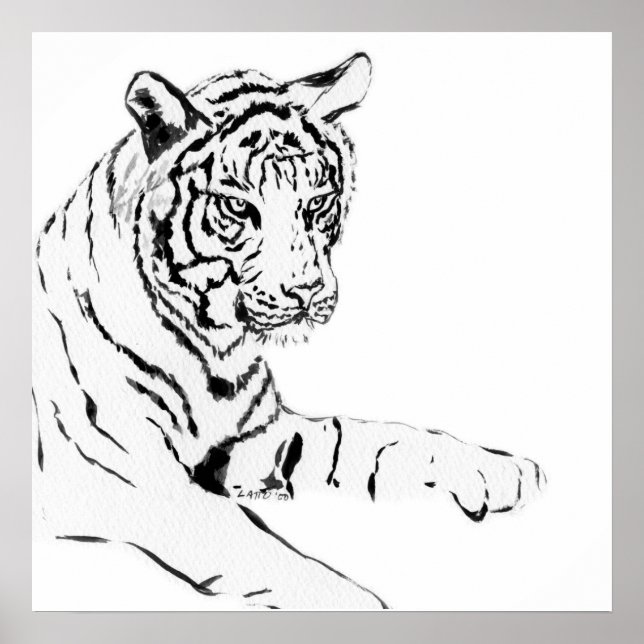 Poster Desenho do Tigre Preto e Branco (Frente)