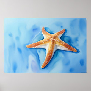 Poster Desenho em Aquarela de Estrela-do-Mar