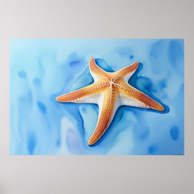 Poster Desenho em Aquarela de Estrela-do-Mar (Frente)