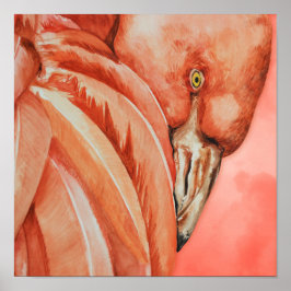 Poster Desenho Flamingo Bonito