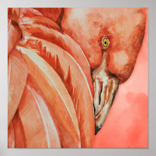 Poster Desenho Flamingo Bonito
