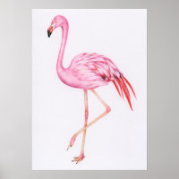 Desenho Flamingo Bonito