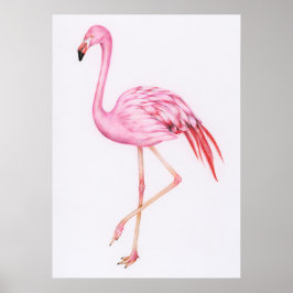 Poster Desenho Flamingo Bonito