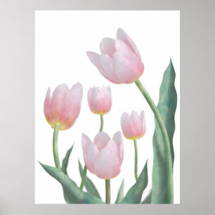 Poster Desenho Floral de Tulipa Pastel