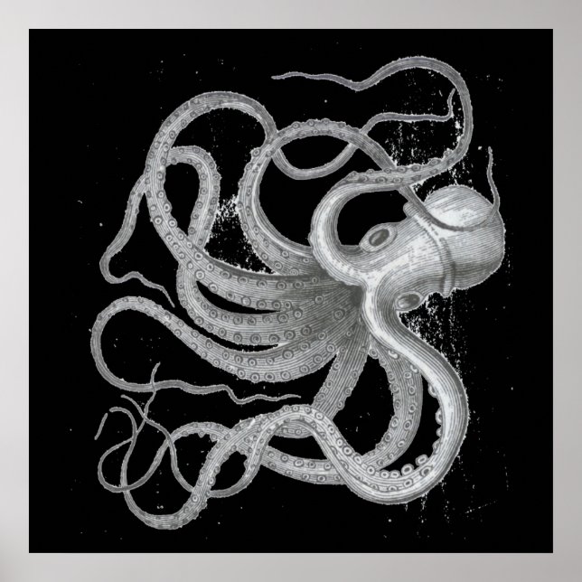 Poster Desenho Kraken do Octopus Vintage Steampunk Náutic (Frente)