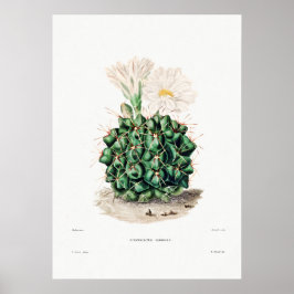 Poster Desenho Nopal de uma Imagem de Planta de Cactus Fl