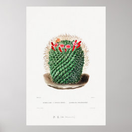 Poster Desenho Nopal de uma Imagem de Planta de Cactus Fl