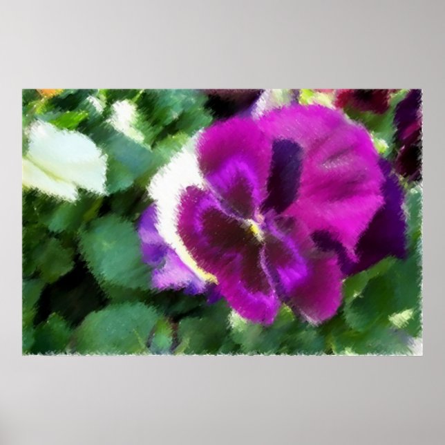 Pôster Desenho Pansy Suave Rosa (Frente)