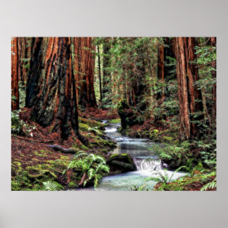 Poster Desenho Profundidade 92