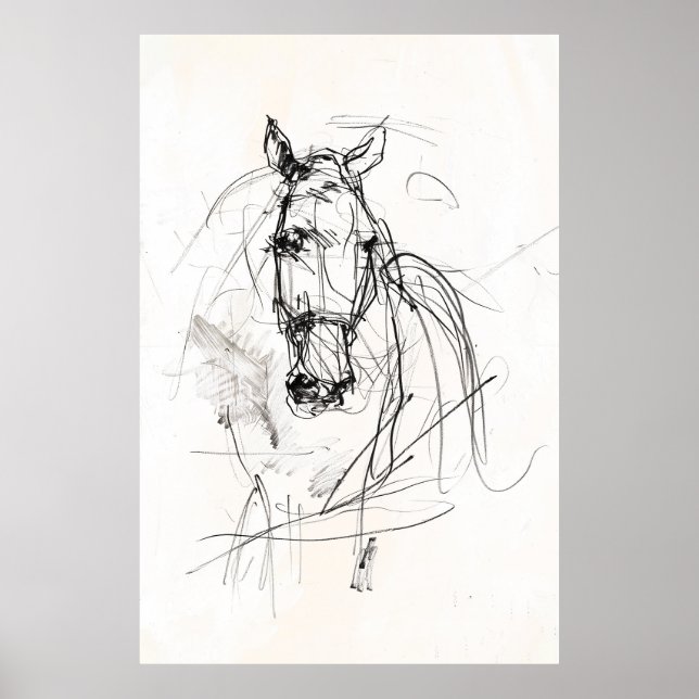 Poster Desenho Retrato de Cavalo abstrato - Premium (Frente)