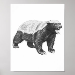 Poster Desenho Vintage de Texugo-Mel Realista Arte de Ani