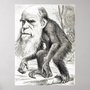 Pôster Desenhos animados editoriais de Charles Darwin
