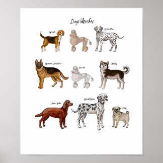 Poster Desenhos de Cães