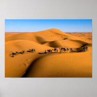 DESERT CAMEL TRAIN - Dunas de areia em Tamnougalt