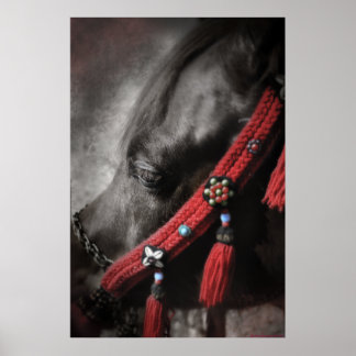 Pôster Desert Jewel