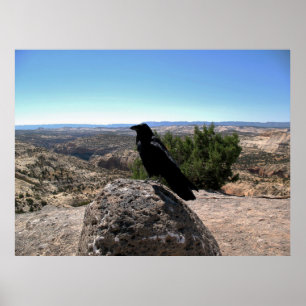 Poster Desert Raven