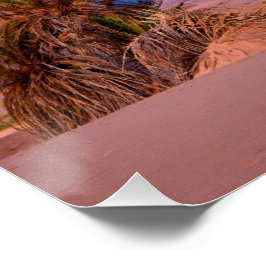 Pôster Desert Star Trails: Palm Trees & Pickup Caminhão P