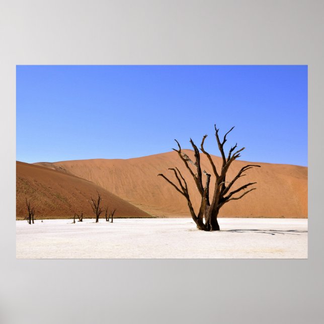 Pôster Desert Trees (Frente)