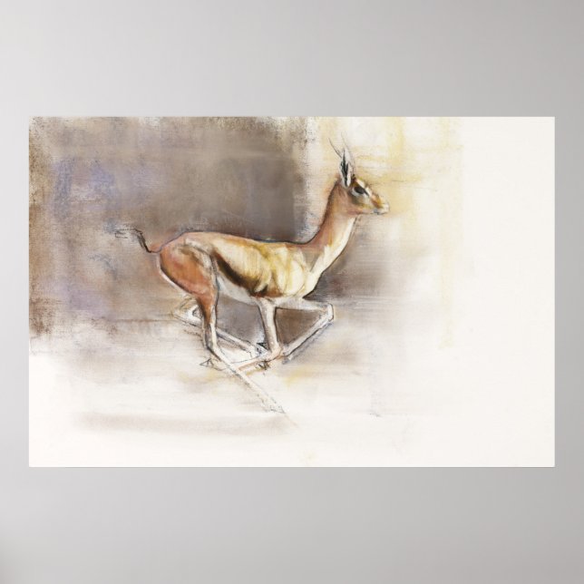 Poster Desert Wind (Frente)