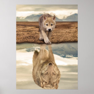 Poster Desert Wolf Pup Water Reflection