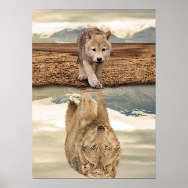 Poster Desert Wolf Pup Water Reflection (Frente)