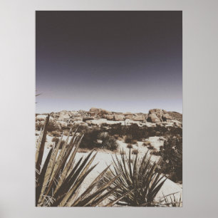 Poster Deserto De Árvore Joshua, Quente De Vintage