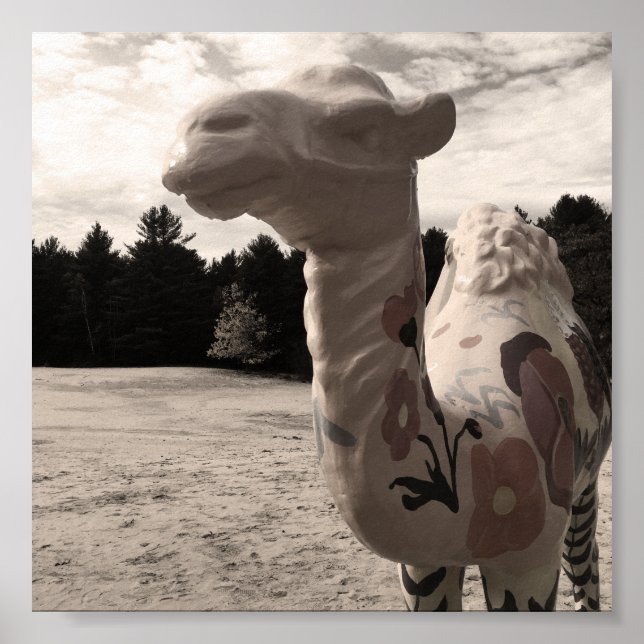 Poster deserto de minas (Frente)