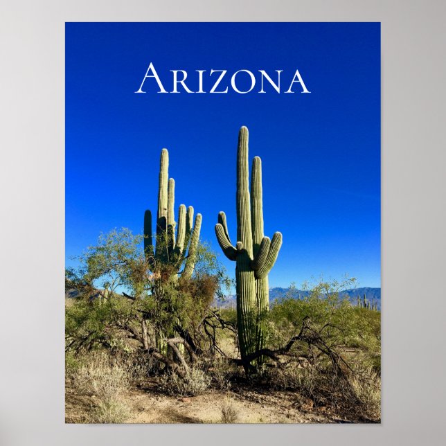 Poster Deserto de Saguaro Cactus arizona (Frente)