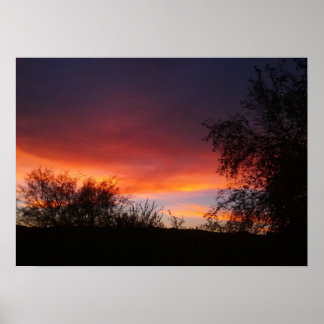 Pôster Deserto de Sonoran arizona Sunset 21 x 15