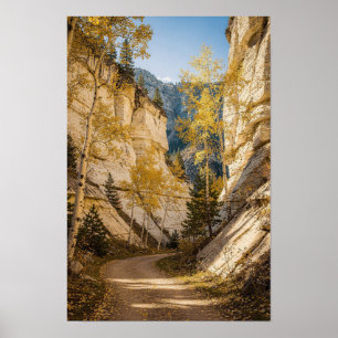 Poster Deserto do Desfiladeiro Golden Aspen