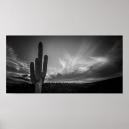 Poster deserto negro