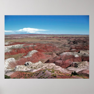 Poster Deserto Pintado
