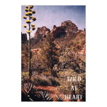 Deserto Selvagem Cactus Explora Natureza Selvagem