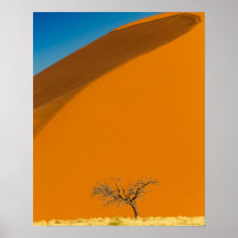 Deserto Vermelho da Namíbia