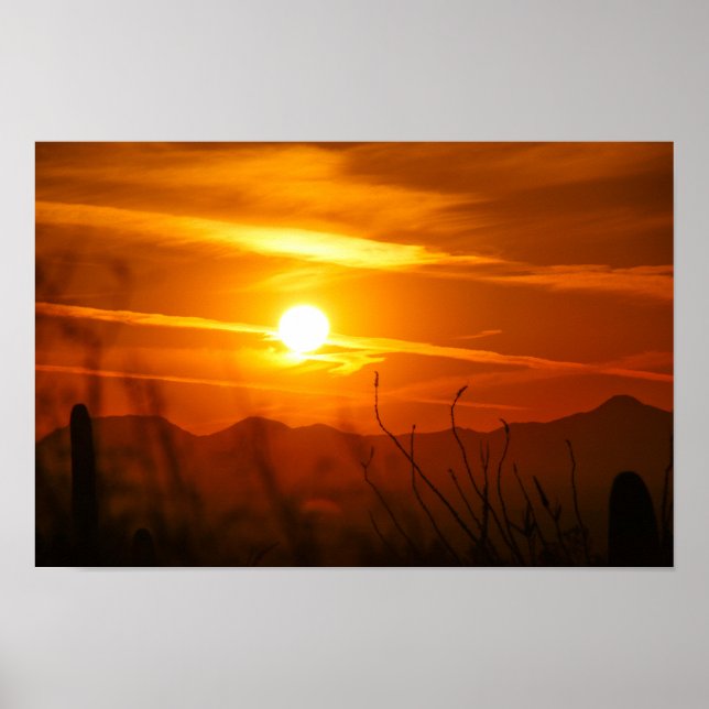 Poster Desertos (Frente)